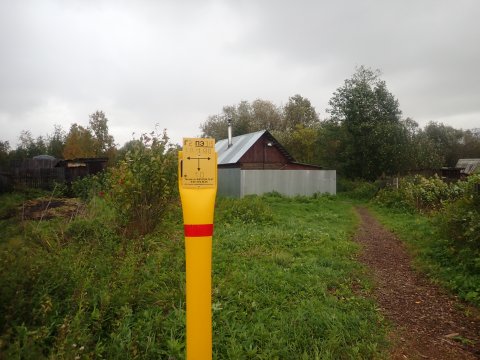 В Приморском районе строится газопровод для догазификации деревни Псарево